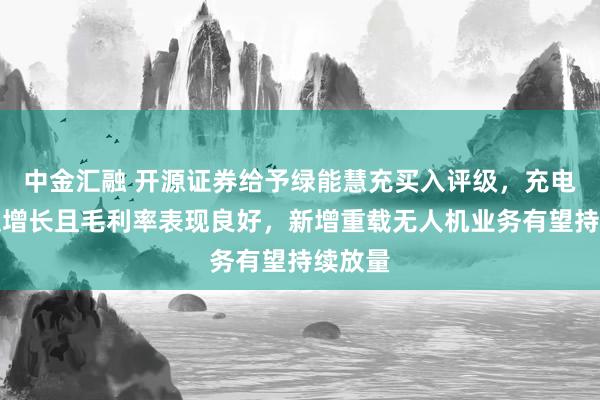 中金汇融 开源证券给予绿能慧充买入评级，充电桩高速增长且毛利率表现良好，新增重载无人机业务有望持续放量