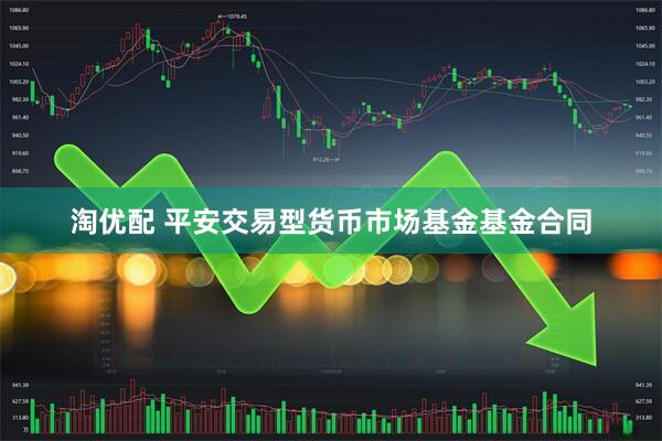 淘优配 平安交易型货币市场基金基金合同