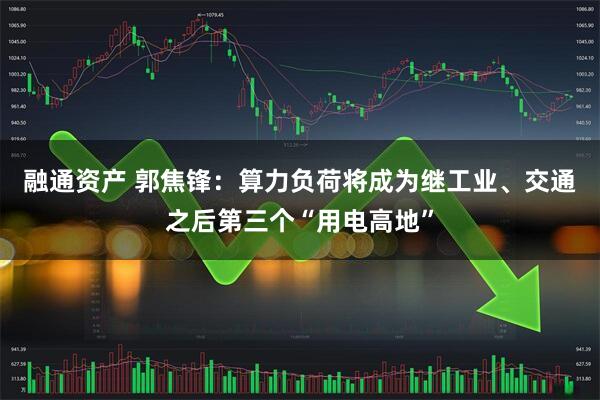 融通资产 郭焦锋:算力负荷将成为继工业、交通之后第三个“用电高地”